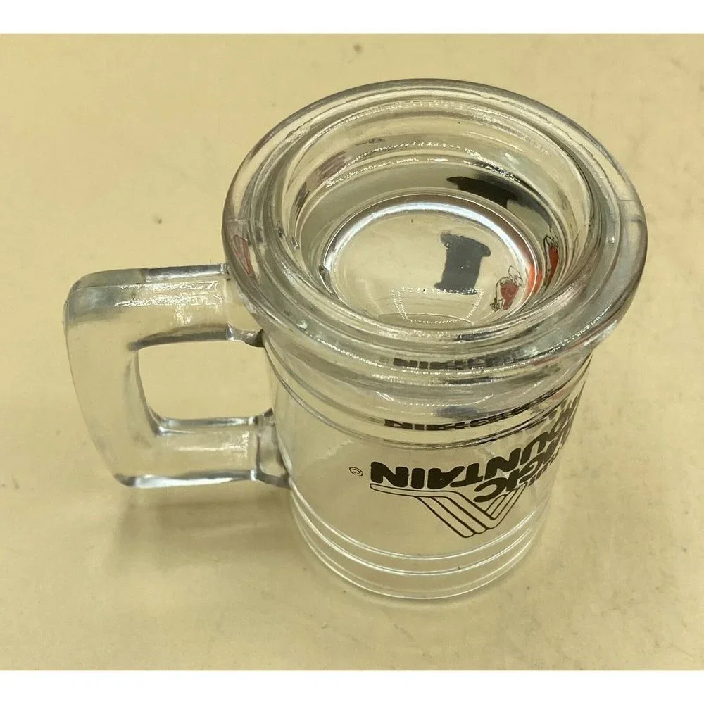 Six Flags Magic Mountain CA Amusement Park Clear Glass Shot Glass Mini Stein